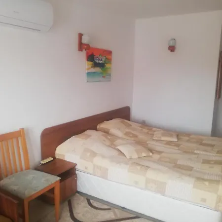 антон петров * 네세부르